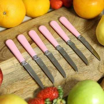 Fecra Rooc Lüks 6'lı Meyve Bıçağı Pembe