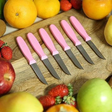 Fecra Rooc 6'lı Meyve Bıçağı Pembe